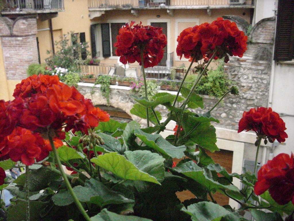 A Casa Di Luca Hotel Verona Ngoại thất bức ảnh