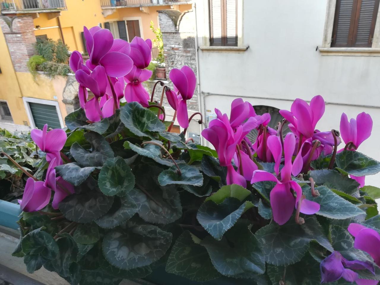 A Casa Di Luca Hotel Verona Ngoại thất bức ảnh